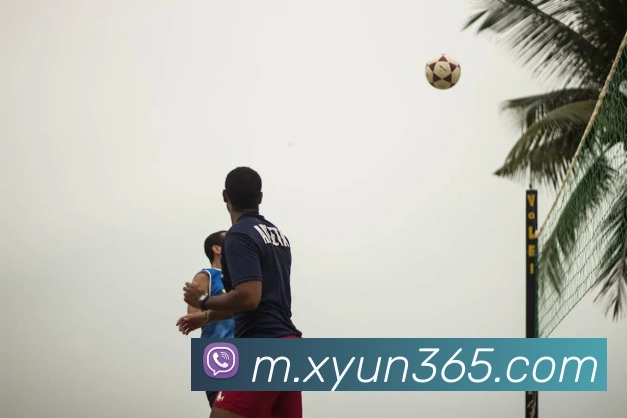 App 展示图